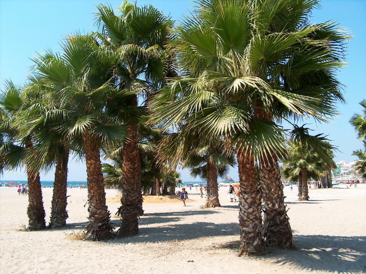 Apartment Almunecar, Playa 125 Metres, By Old Town